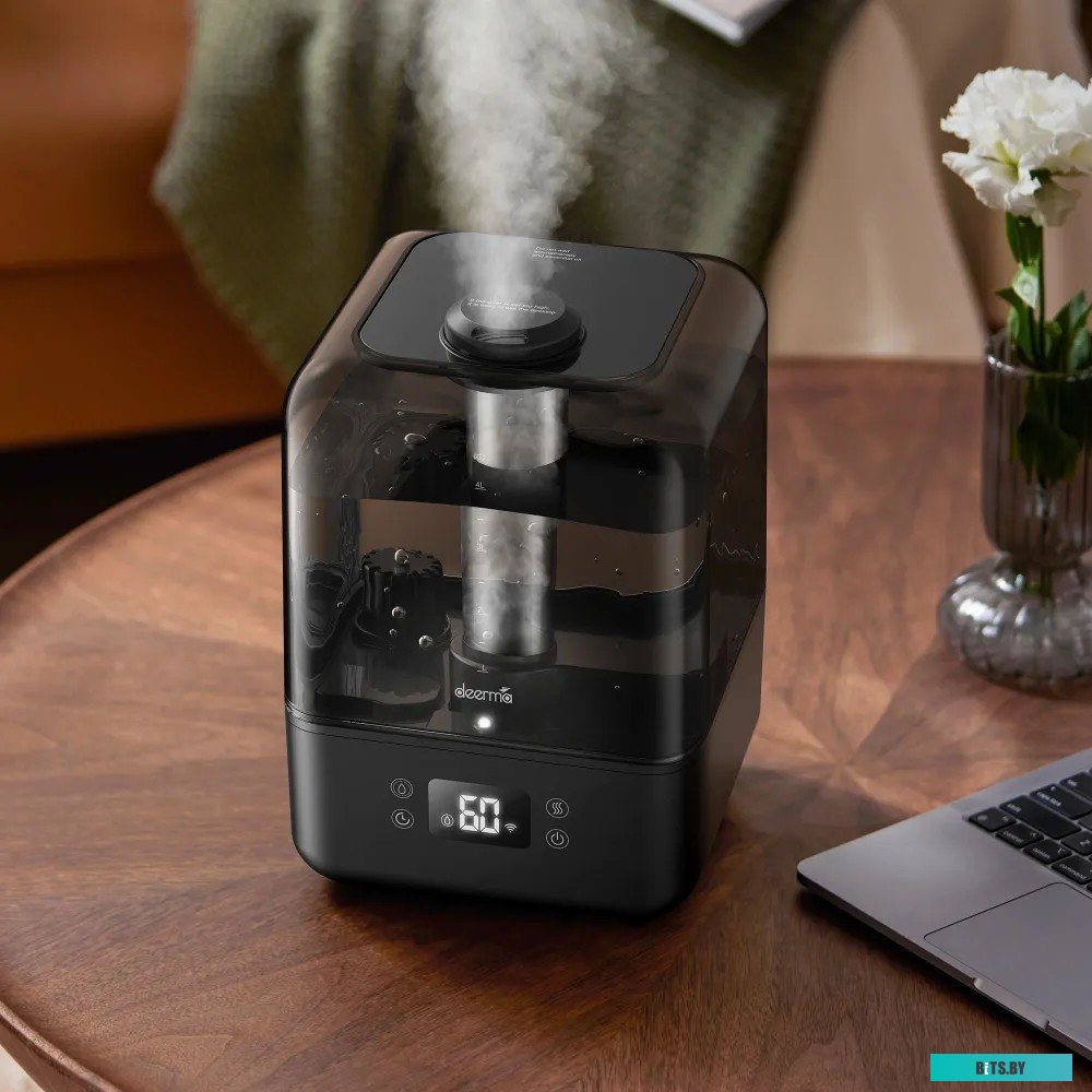 Deerma DEM-F15W (международная версия, (черный)