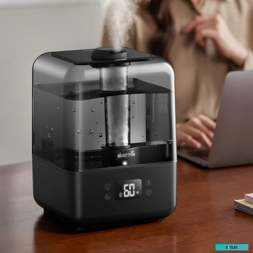 Deerma DEM-F15W (международная версия, (черный)