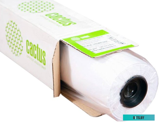 Бумага Cactus CS-PC90-106745 805993.