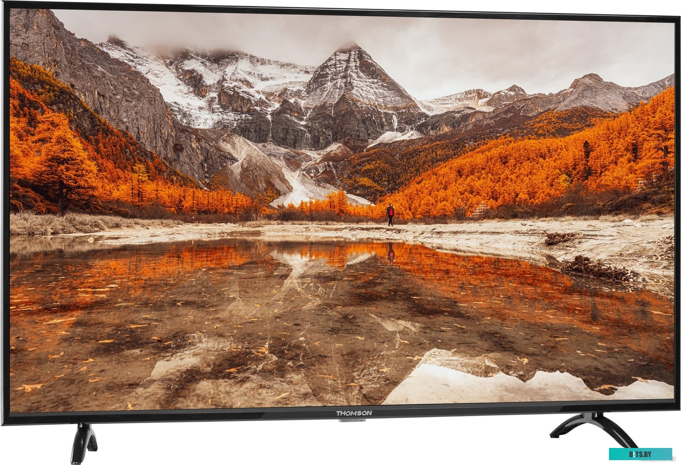 Телевизор Thomson T43FSL6060