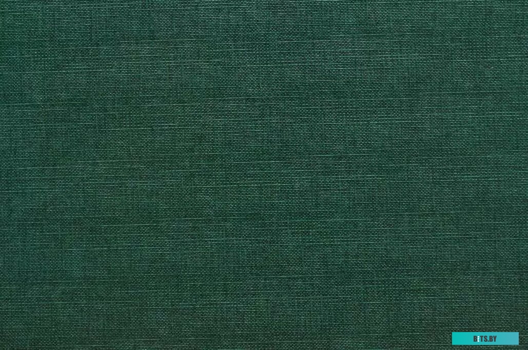 Металлический канал для переплета OPUS Classic A4 217х300 мм OHC217X300Z10 (10 шт, зеленый)
