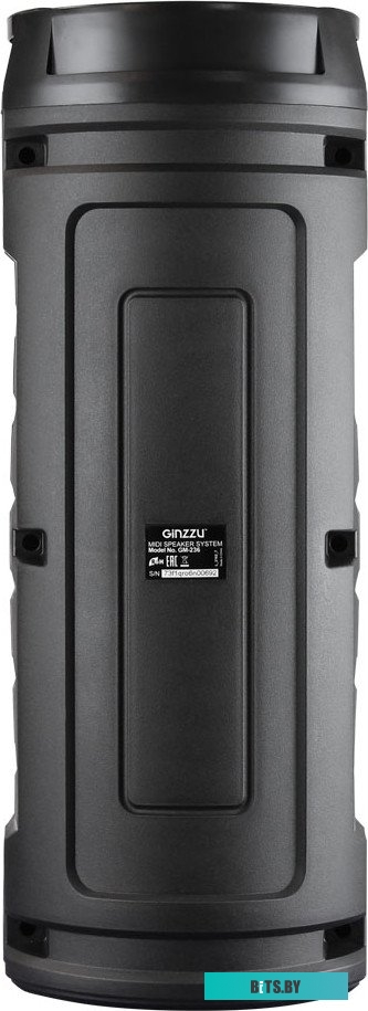 Портативная беспроводная колонка Ginzzu GM-236