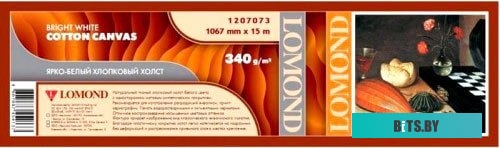 Холст Lomond Bright White Cotton Canvas 1067 x 15 м 340 г/м2 1207073