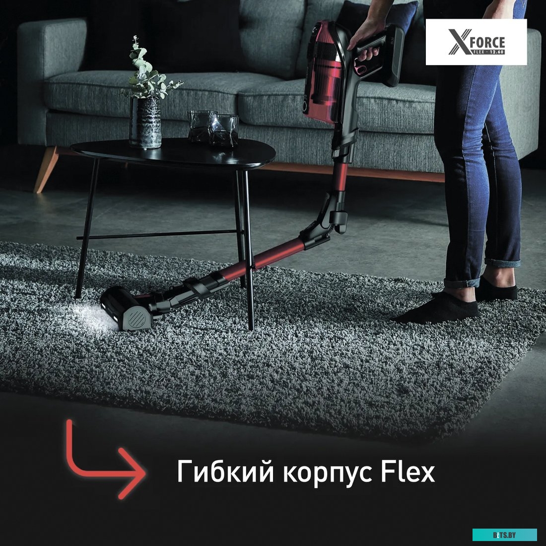 Tefal X-Force Flex 12.60 Animal Care TY98A9WO