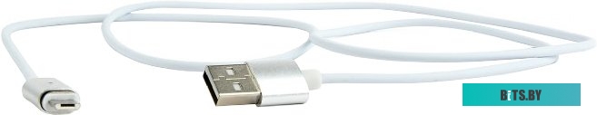 Кабель Cablexpert CC-USB2-AMmUMM-1M