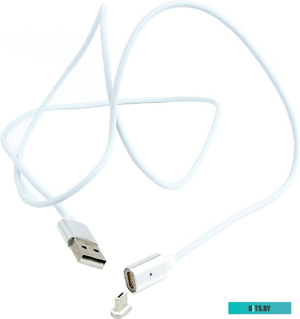 Кабель Cablexpert CC-USB2-AMmUMM-1M