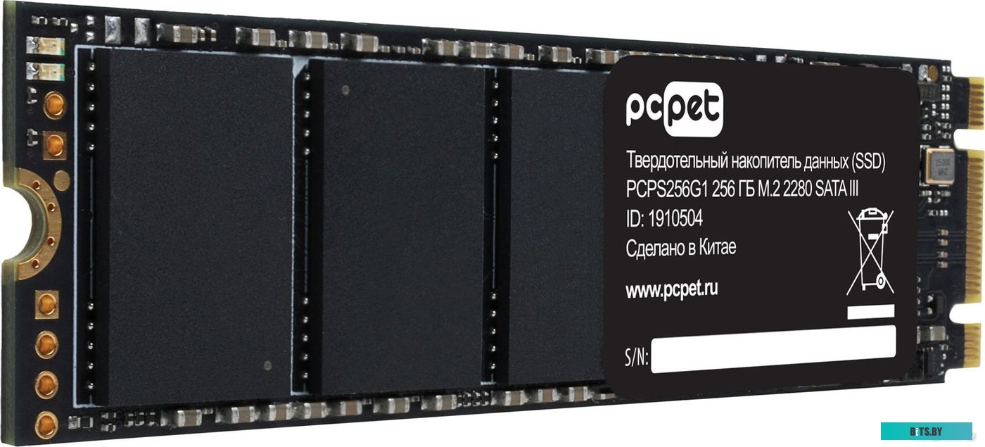 SSD PC Pet PCPS256G1 PCPS256G1