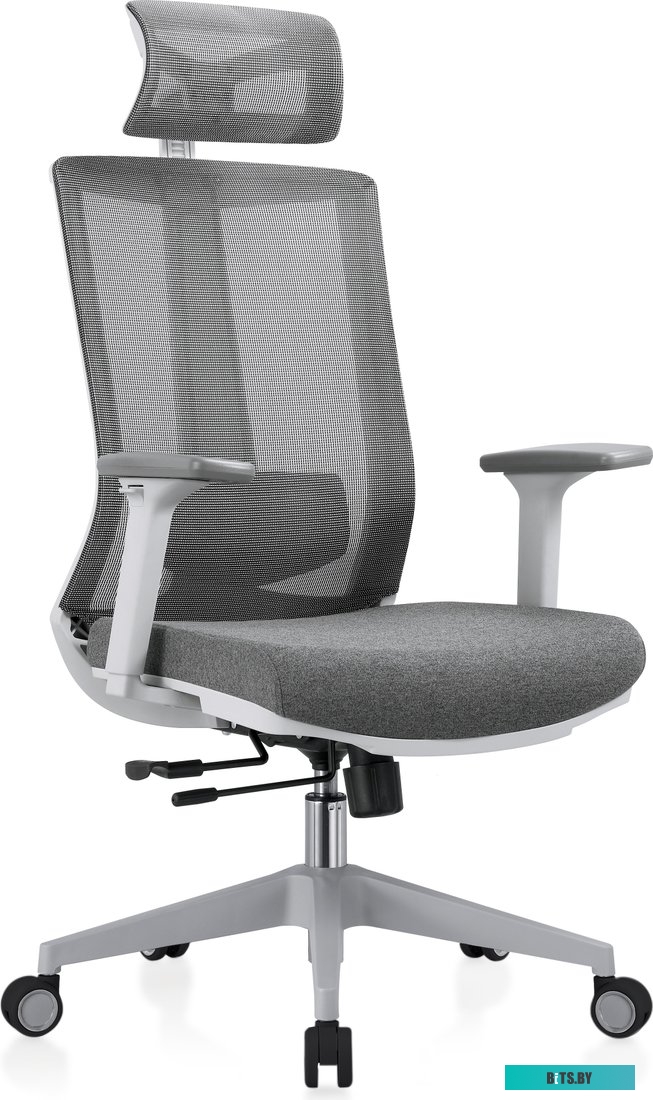 42091, 4812755006710 Evolution ERGO BLISS Grey (серый)