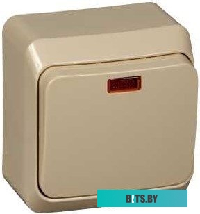 Выключатель Schneider Electric Этюд BA10-005K