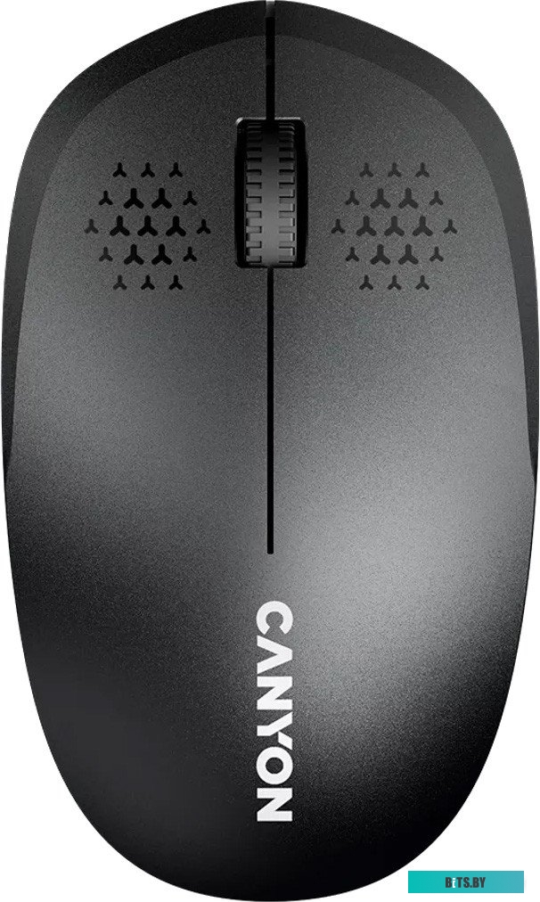 Мышь беспроводная Canyon MW-04 CNS-CMSW04B