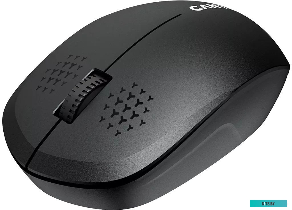 Мышь беспроводная Canyon MW-04 CNS-CMSW04B