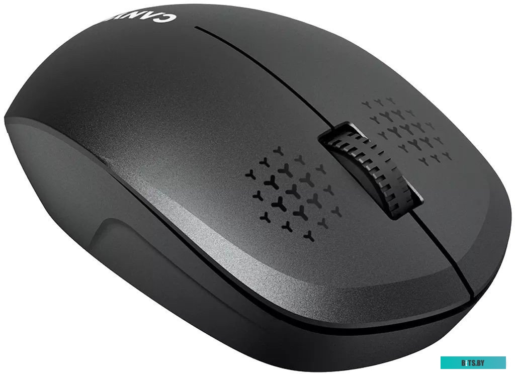 Мышь беспроводная Canyon MW-04 CNS-CMSW04B