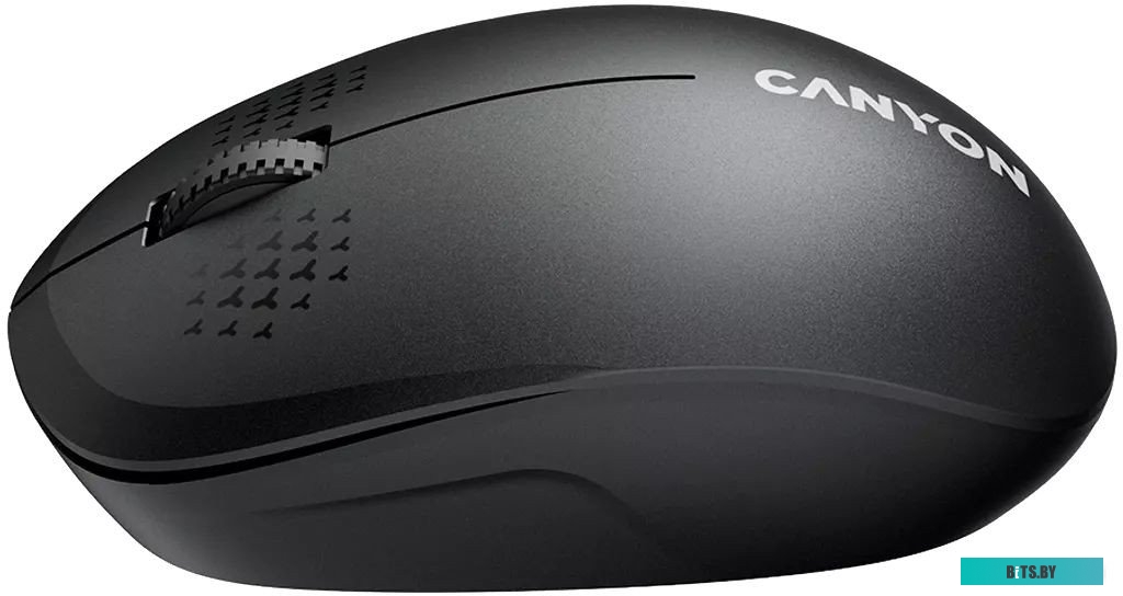Мышь беспроводная Canyon MW-04 CNS-CMSW04B