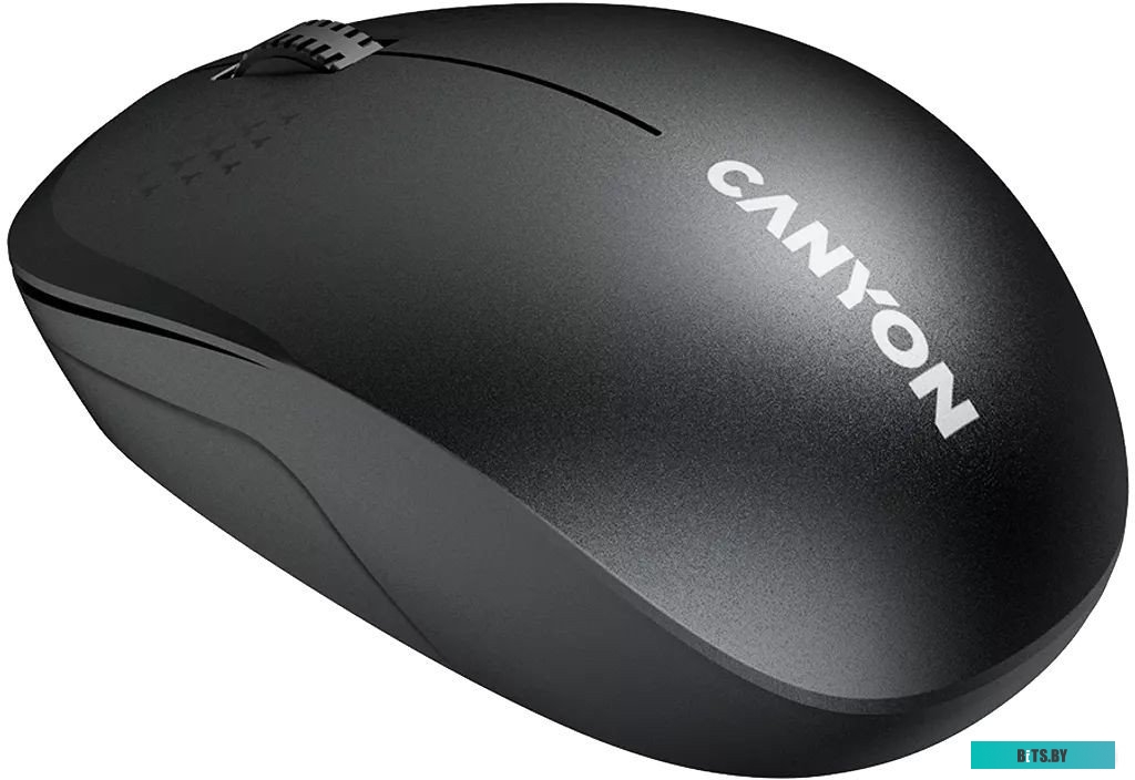 Мышь беспроводная Canyon MW-04 CNS-CMSW04B