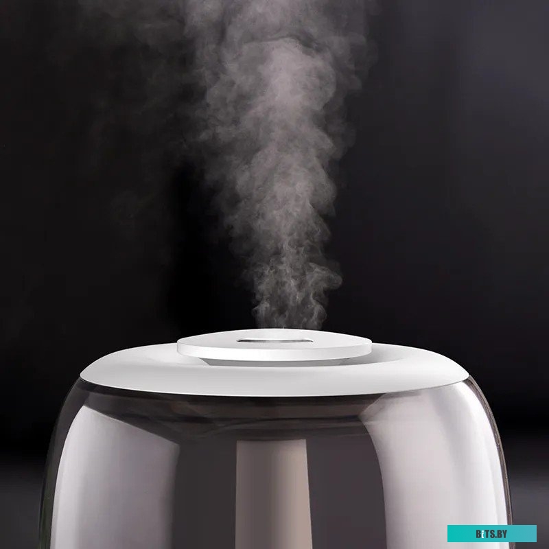 Deerma DEM-F60W (международная версия, белый)