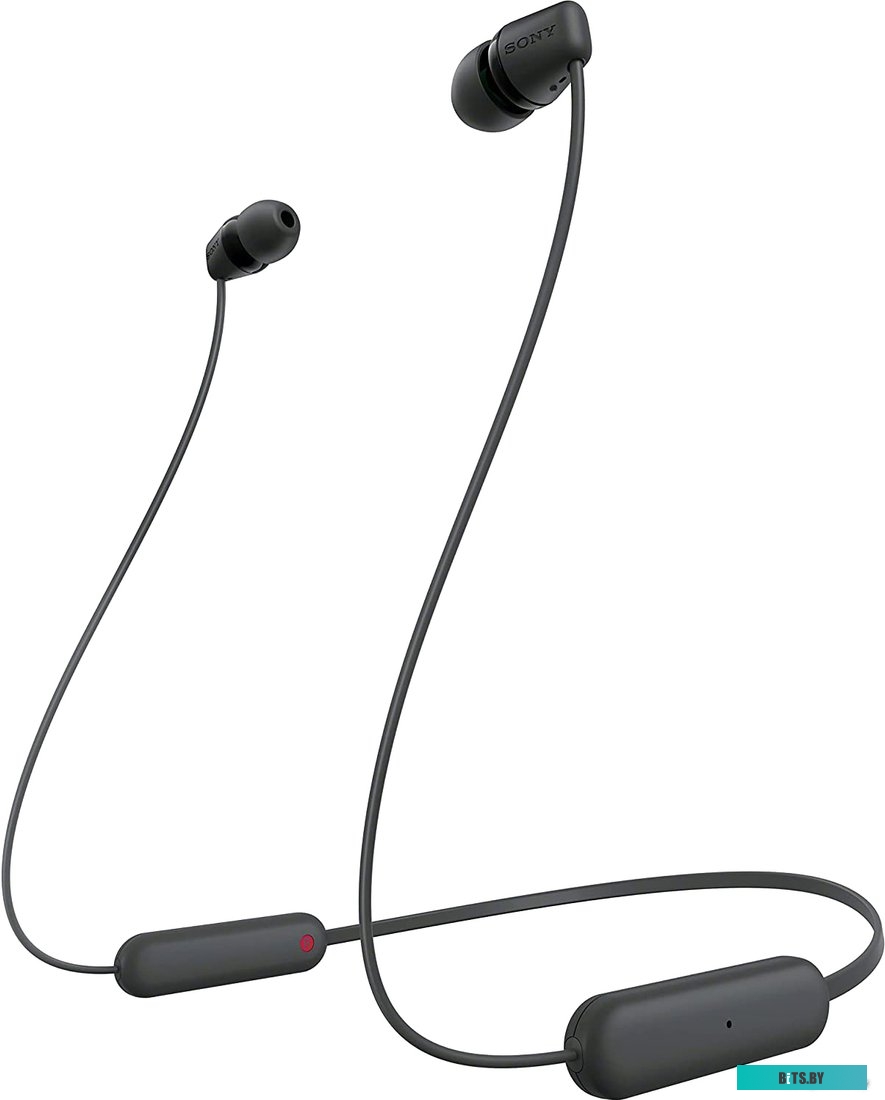 Наушники (Гарнитура) Sony WI-C100 (черный) <WIC100/B>