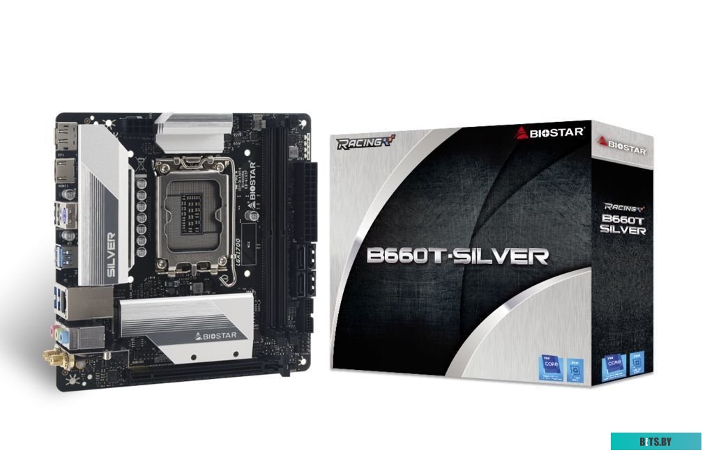 Материнская плата BIOSTAR B660T-SILVER Ver. 5.0