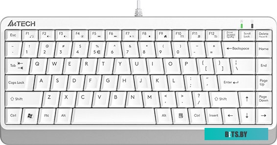 Клавиатура A4Tech Fstyler FKS11 (белый/серый)