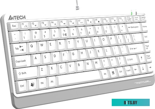 Клавиатура A4Tech Fstyler FKS11 (белый/серый)