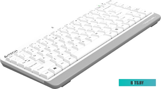 Клавиатура A4Tech Fstyler FKS11 (белый/серый)