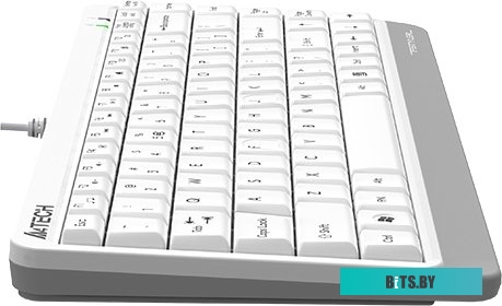 Клавиатура A4Tech Fstyler FKS11 (белый/серый)