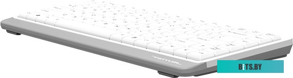 Клавиатура A4Tech Fstyler FKS11 (белый/серый)