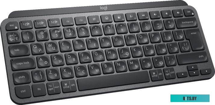 Клавиатура Logitech MX Keys Mini (графит) <920-010501>