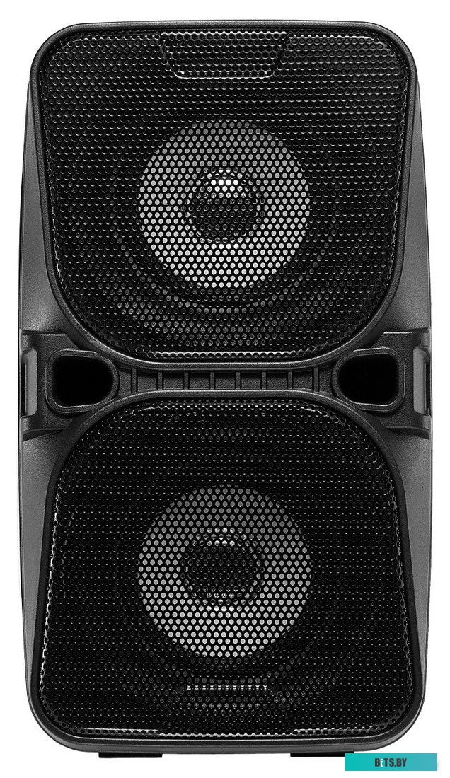 Портативная колонка Digma D-PS1505