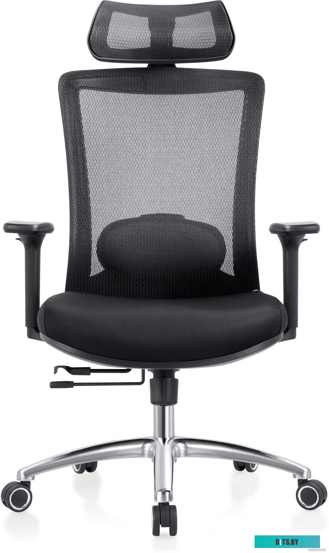 42029, 4812755006673 Evolution ERGO Black (черный)