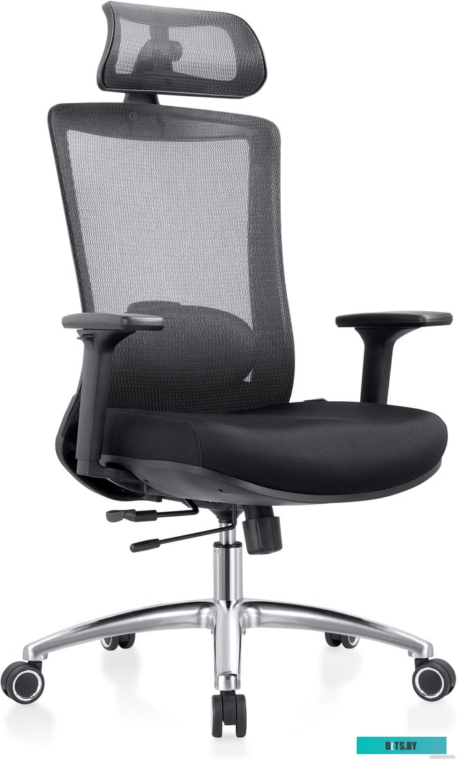 42029, 4812755006673 Evolution ERGO Black (черный)