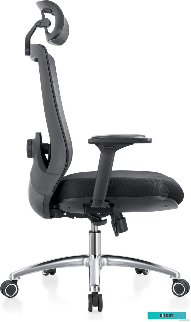 42029, 4812755006673 Evolution ERGO Black (черный)