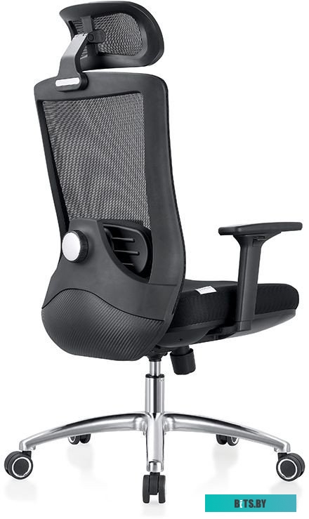 42029, 4812755006673 Evolution ERGO Black (черный)