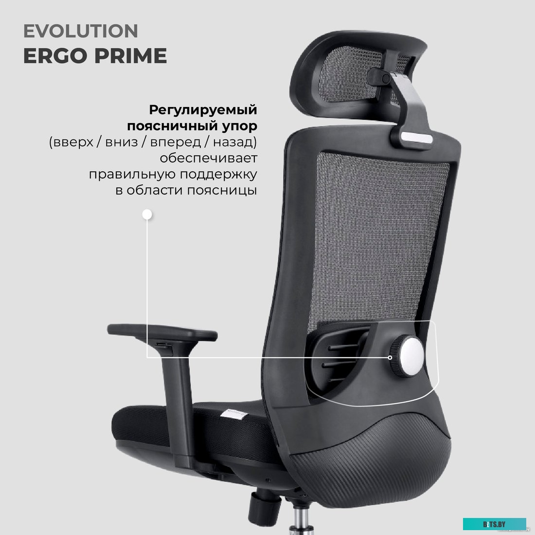 42029, 4812755006673 Evolution ERGO Black (черный)