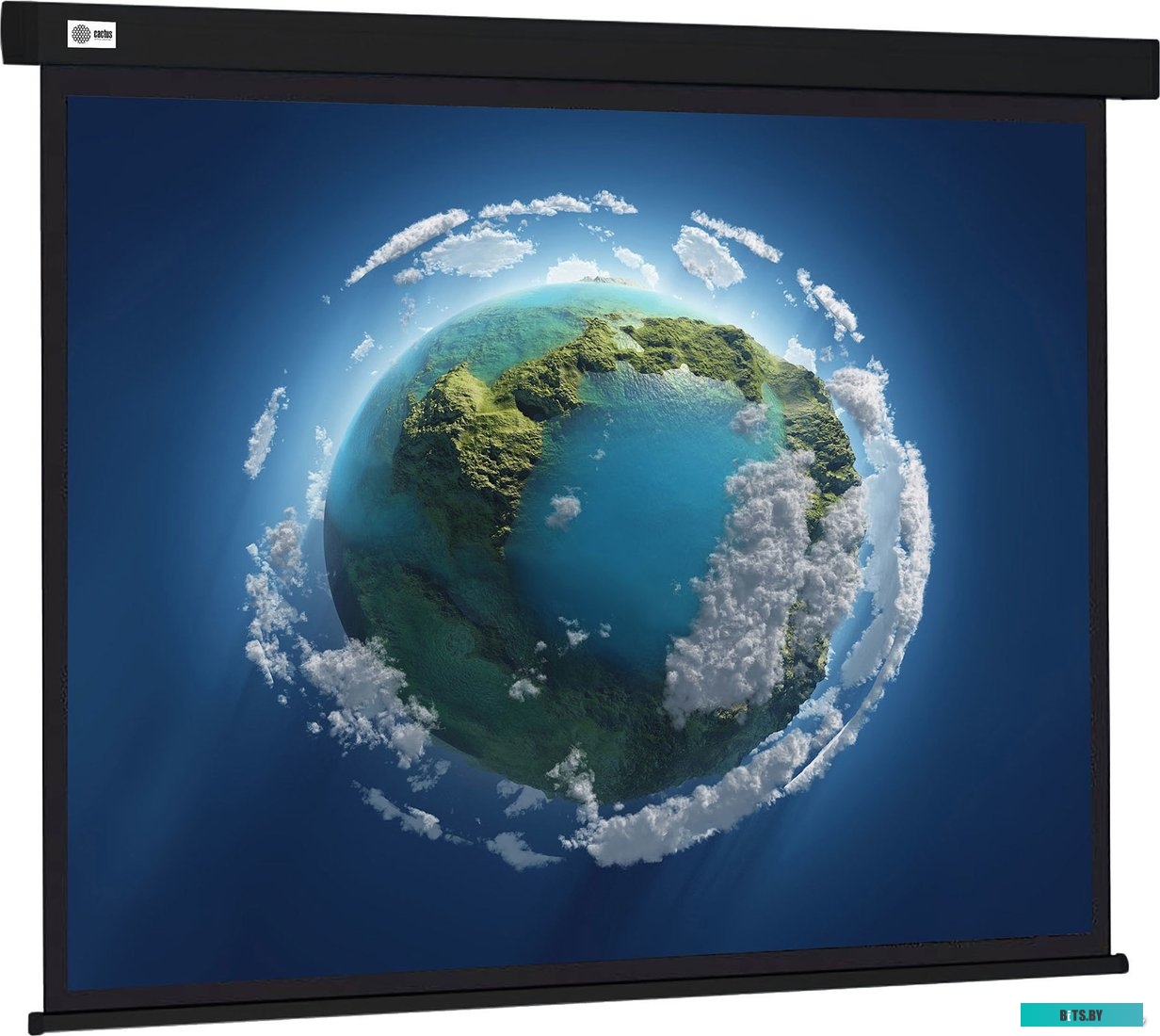 Экран для проекторов Cactus Wallscreen 127x127 CS-PSW-127X127-BK