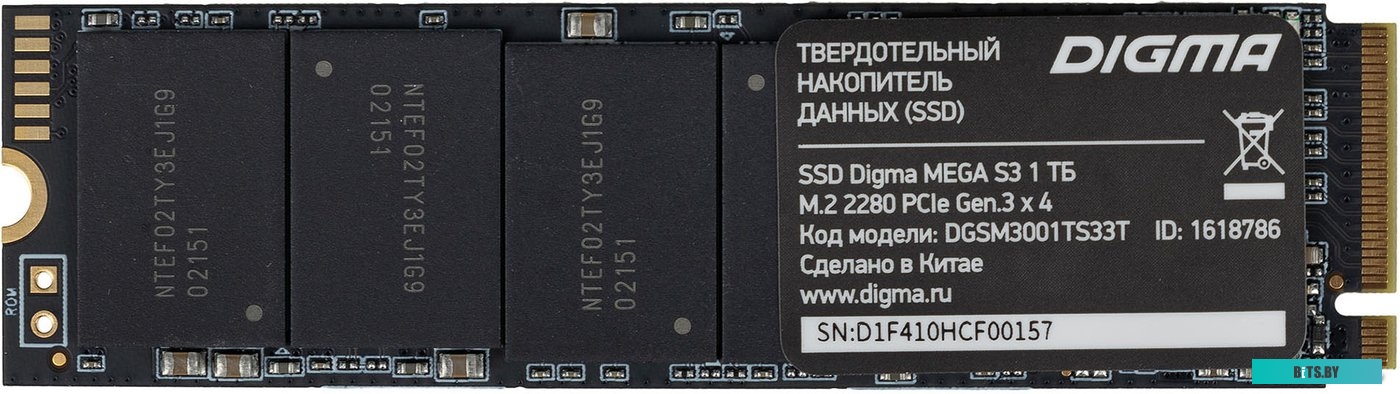 SSD Digma Mega S3 DGSM3001TS33T