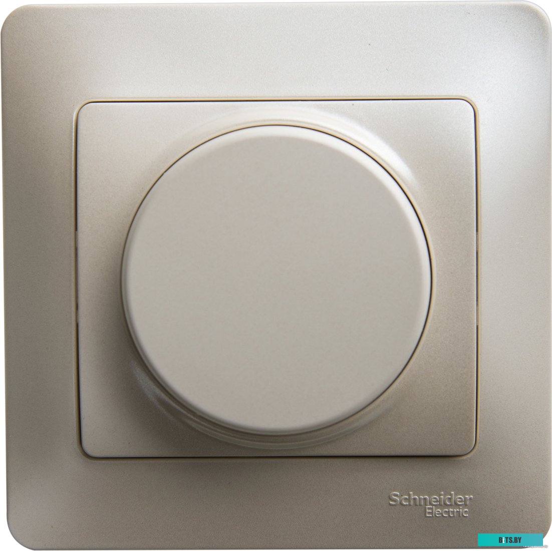 Розетка Schneider Electric Glossa GSL000634 (перламутр)