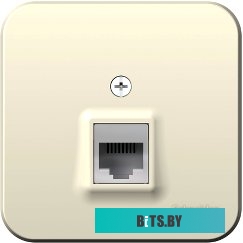 Розетка компьютерная Schneider Electric Blanca BLNIA045002