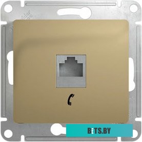Розетка Schneider Electric Glossa GSL000481T (титан)