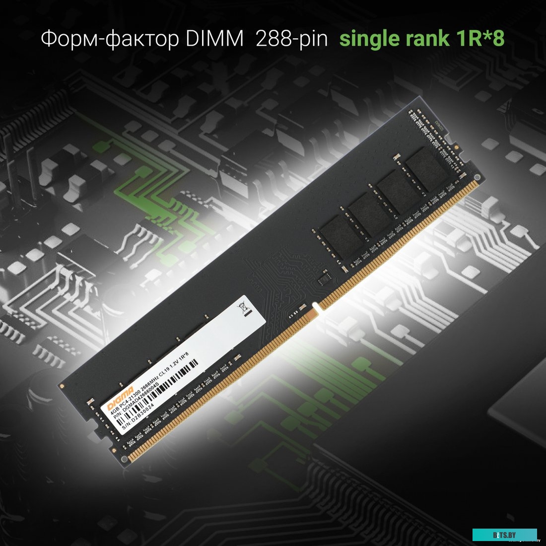 Оперативная память Digma DGMAD42666004S 1784263