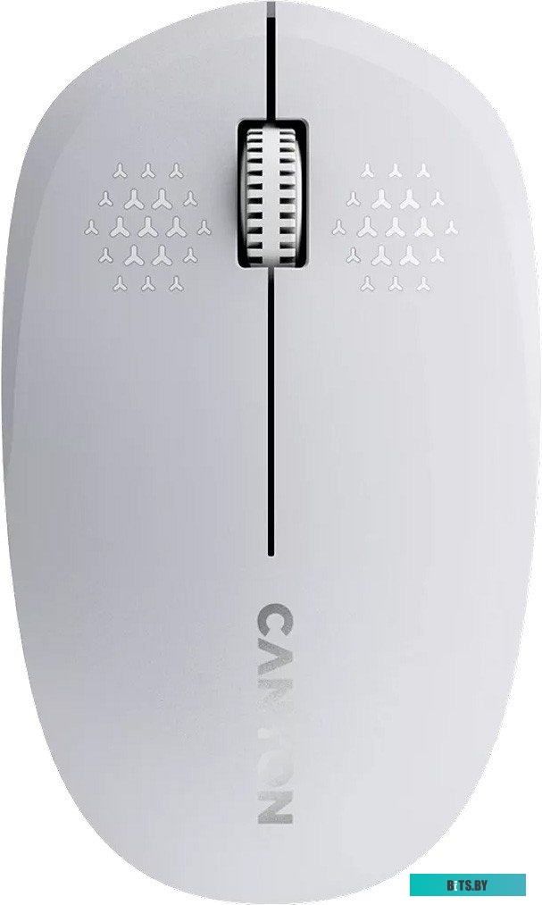 Мышь Canyon MW-04 CNS-CMSW04W