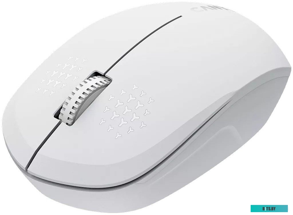 Мышь Canyon MW-04 CNS-CMSW04W