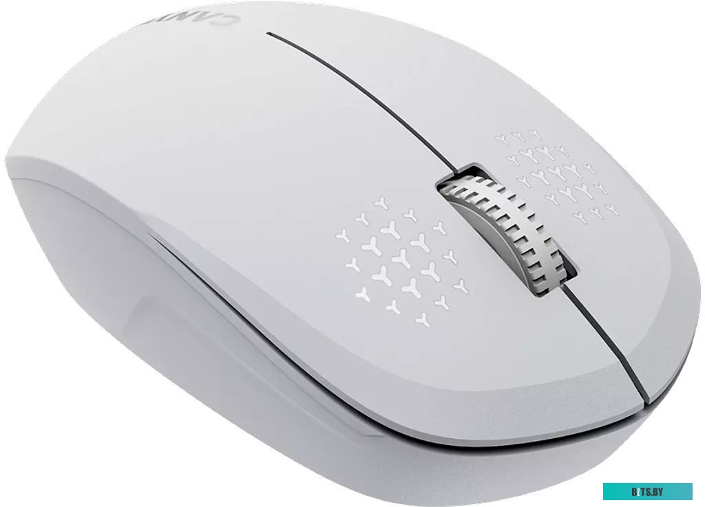 Мышь Canyon MW-04 CNS-CMSW04W