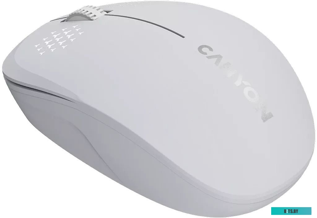 Мышь Canyon MW-04 CNS-CMSW04W