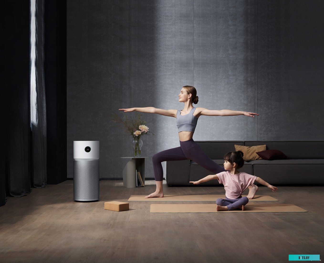 Xiaomi Smart Air Purifier Elite Y-600 (европейская версия)