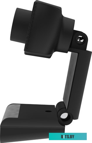 Web-камера Ritmix RVC-110