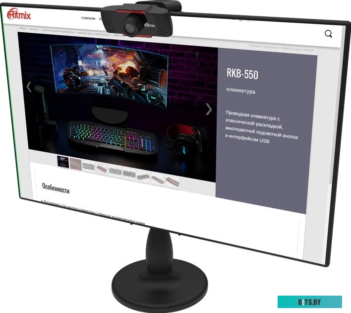Web-камера Ritmix RVC-110