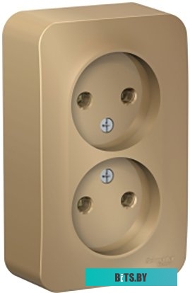 Розетка Schneider Electric Blanca BLNRA000214