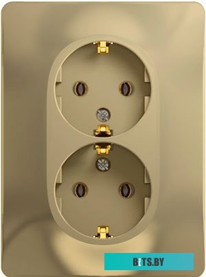 Розетка Schneider Electric Glossa GSL000424 (титан)