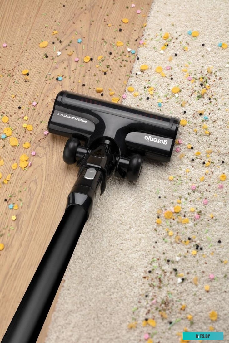 Gorenje SVC216FMLBKII