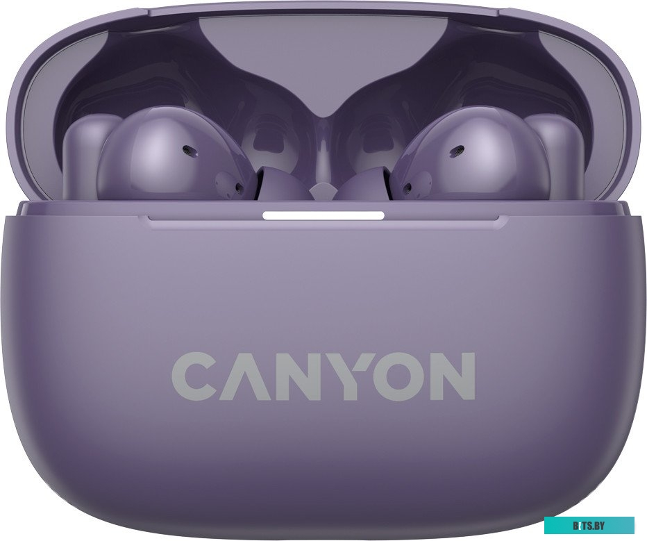 Наушники Canyon OnGo TWS-10 ANC CNS-TWS10PL